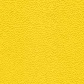 Kattwinkel Leder Yellow